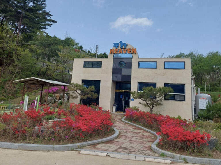 222KakaoTalk_20250613_170217452