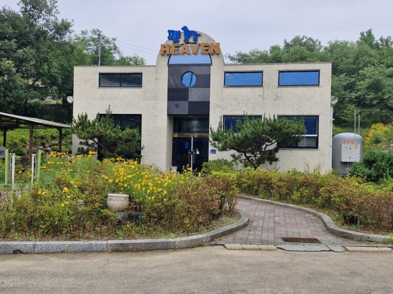 KakaoTalk_20250613_170206452