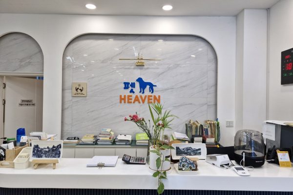 KakaoTalk_20250310_110809062